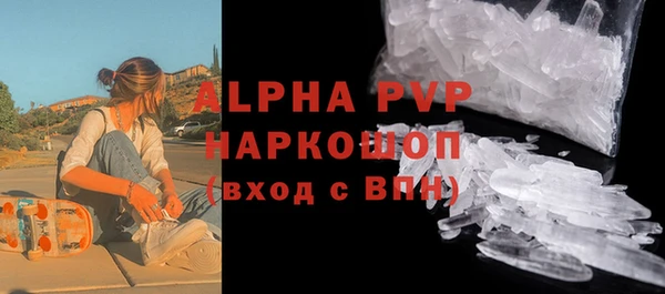 гидра Карпинск