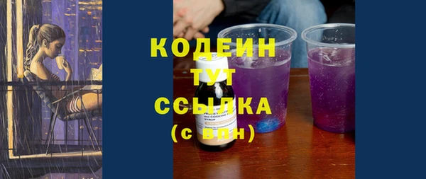 гидра Карпинск