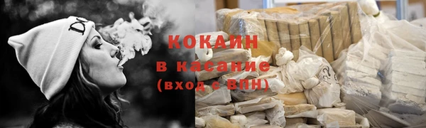 гидра Карпинск