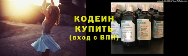 гидра Карпинск