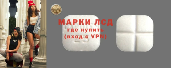гидра Карпинск