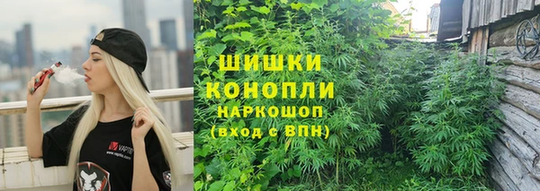 гидра Карпинск