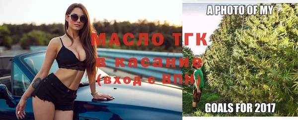 гидра Карпинск