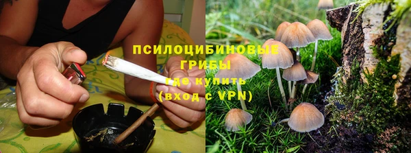 гидра Карпинск