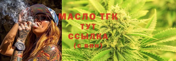 гидра Карпинск