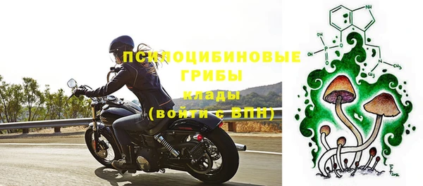 гидра Карпинск
