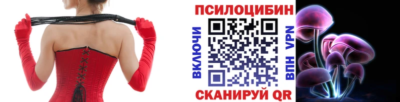 Галлюциногенные грибы прущие грибы  Купить закладки  Нефтекумск 