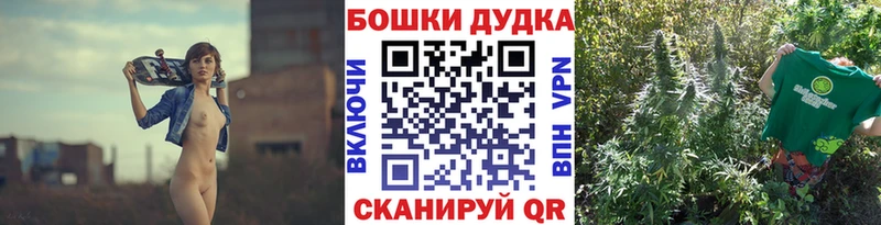 Марихуана MAZAR  Купить закладки  Нефтекумск 